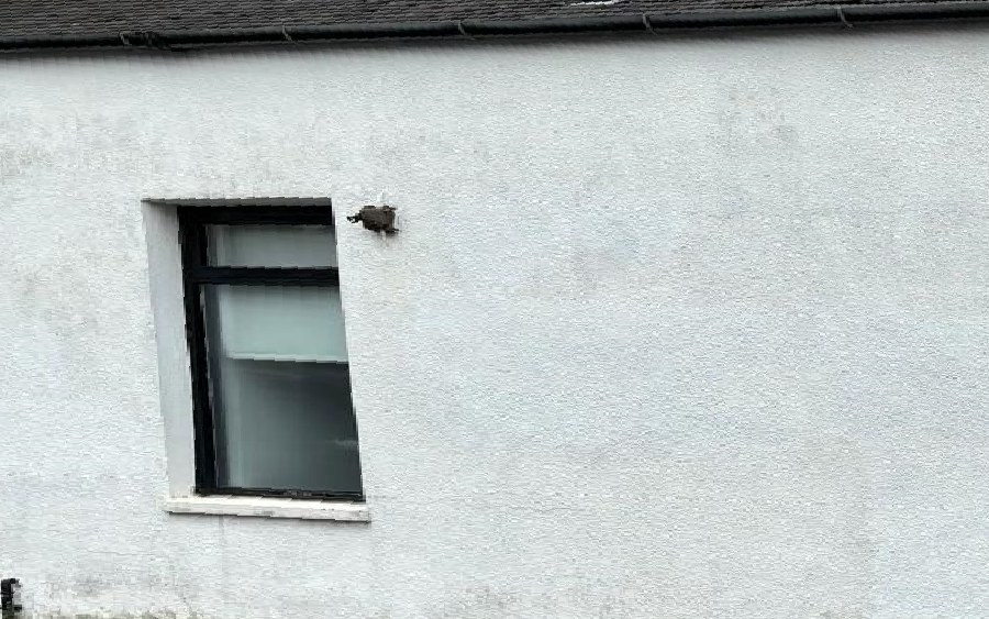 After graffiti removal