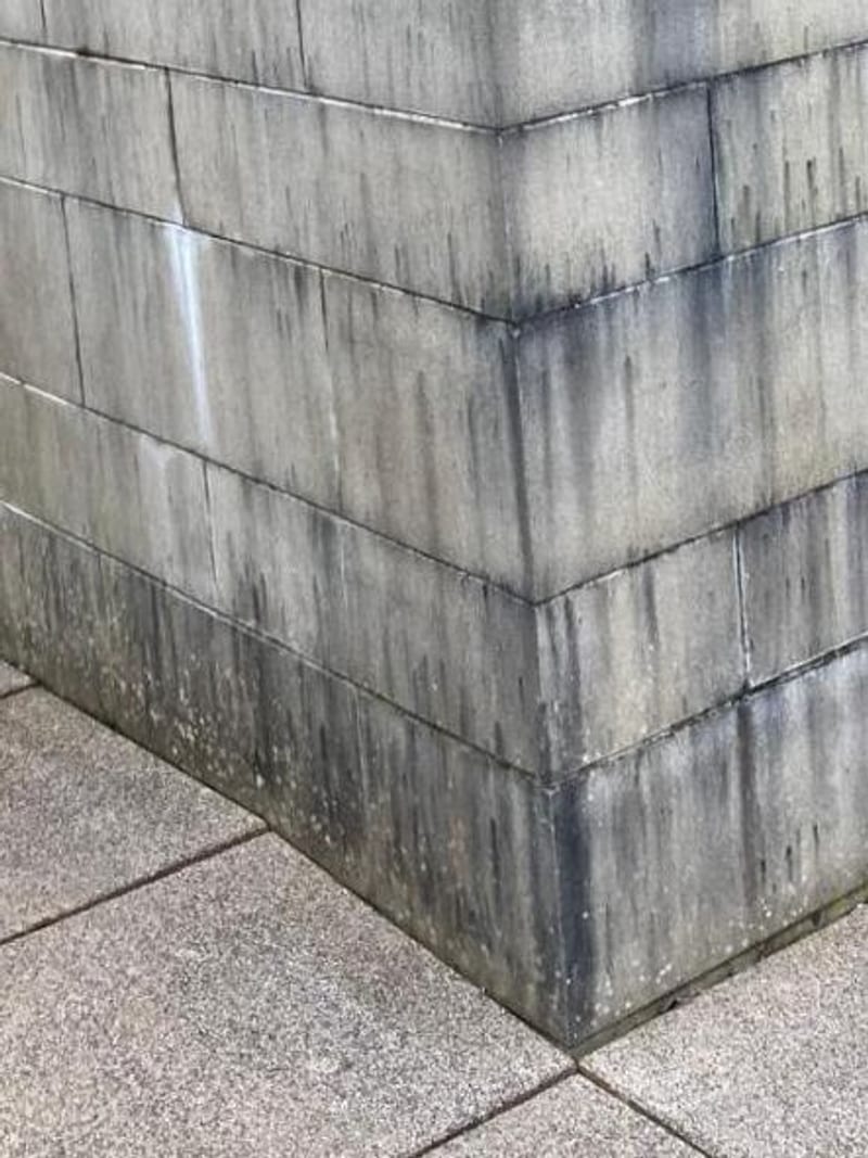 Before pressure washing