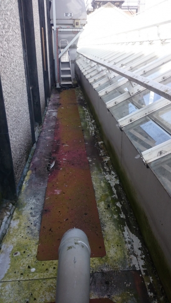 Before walkway cleaning